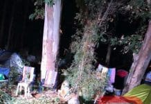 Three injured from falling tree branch at Kato Pyrgos camping site