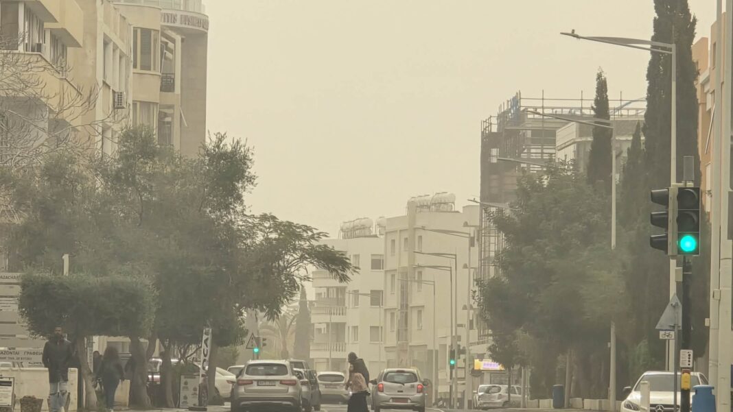 skoni pafos